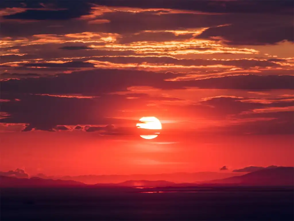 Siluetas de palmeras al atardecer